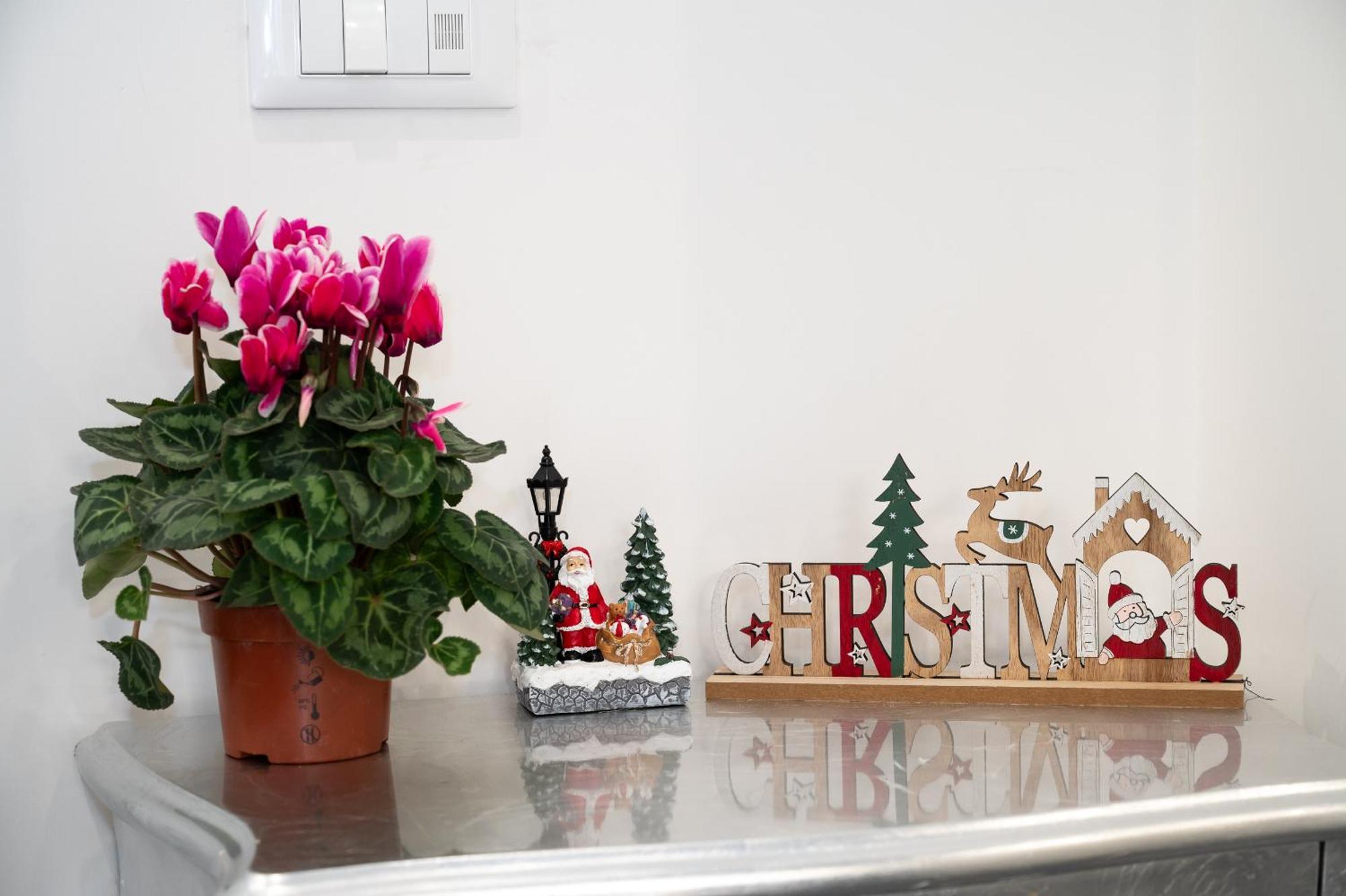 St. Peter Boutique Apt Rzym Zewnętrze zdjęcie